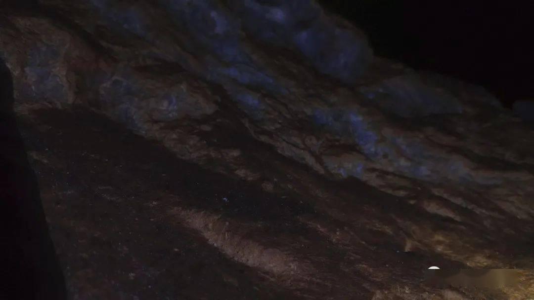 妙鸭相机app下载官网