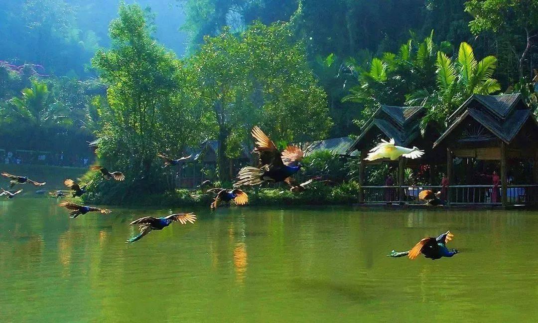 僵尸任务