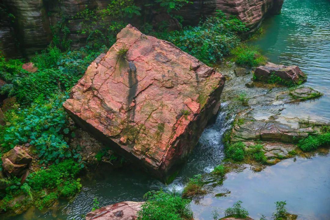 席慕蓉点评《愚公移山》破坏环境,红了40年的才女,如今要翻车
