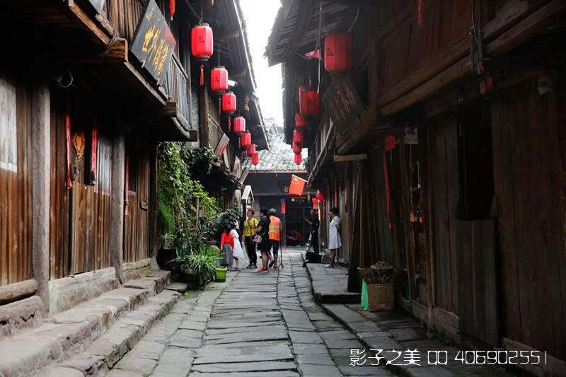 发现冷知识的空穴来风是什么动物平台 - 分享惊艳冷知识,追寻无限智慧