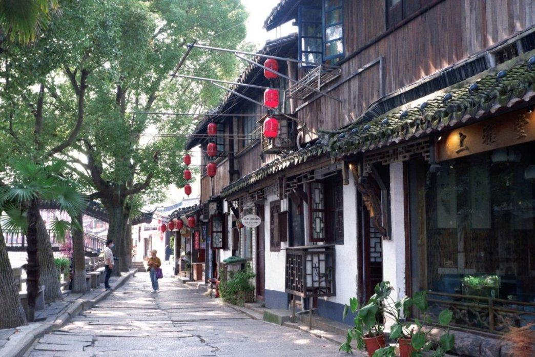 动物帮帮忙保卫家园